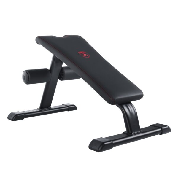 Abdominal Bench